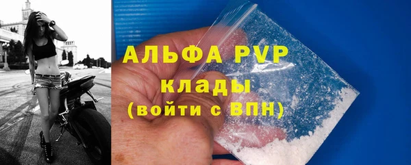 стаф Алексеевка