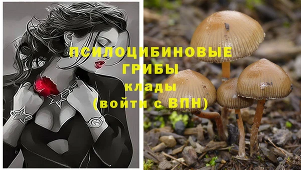 стаф Алексеевка
