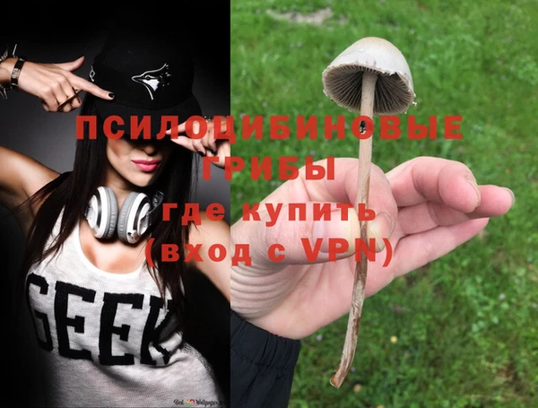 Альфа ПВП Алзамай