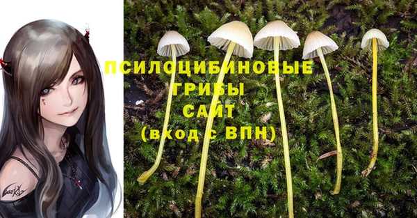 Альфа ПВП Алзамай